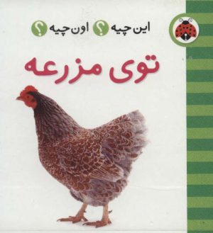 کتاب توی مزرعه | انتشارات شهر قلم