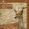 کتاب گوزن زرد ایرانی | انتشارات کانون پرورش فکری کودکان و نوجوانان