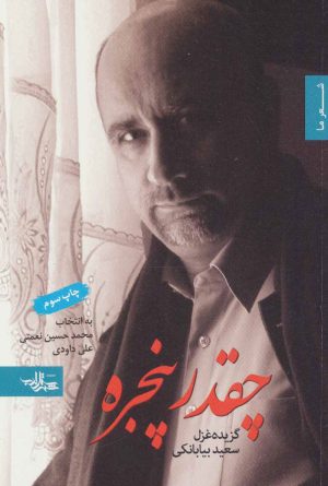 کتاب چقدر پنجره | انتشارات شهرستان ادب