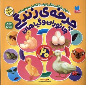 کتاب چرخه‌ی زندگی | انتشارات ذکر