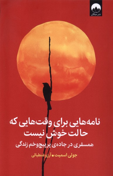 کتاب نامههایی برای وقتهایی که حالت خوش نیست | انتشارات میلکان