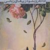 کتاب اذا که رو بشود زیرهای زبانی | انتشارات سرزمین اهورایی