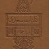 کتاب کلیات سعدی آسان خوان | انتشارات لیوسا