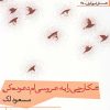 کتاب شکارچی را به عروسی ام دعوت کن | انتشارات افراز