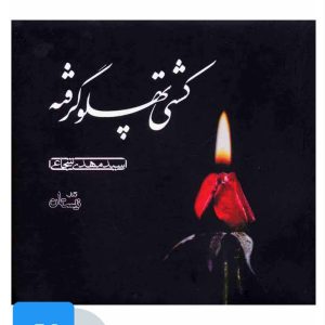 کتاب کتاب صوتی کشتی پهلو گرفته | انتشارات نیستان