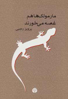 کتاب مارمولک ها هم غصه می خورند | انتشارات اختران