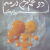 کتاب دو تخم مرغ در مه | انتشارات نیستان