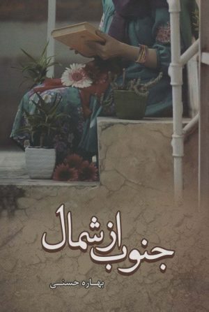 کتاب جنوب از شمال | انتشارات شقایق