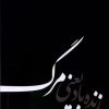 کتاب زنده باد یعنی مرگ | انتشارات فصل پنجم
