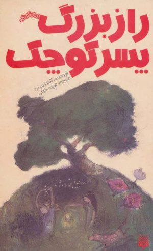 کتاب راز بزرگ پسر کوچک | انتشارات پیدایش