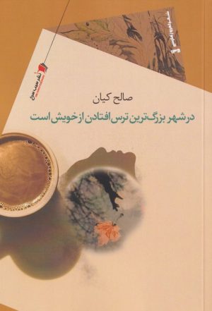 کتاب در شهر بزرگ ترین ترس افتادن از خویش | انتشارات سیب سرخ