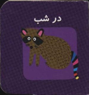 کتاب در شب | انتشارات سایه گستر