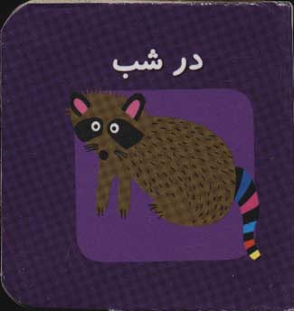 کتاب در شب | انتشارات سایه گستر