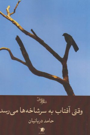 کتاب وقتی آفتاب به سرشاخه‌ها می‌رسد | انتشارات سیب سرخ