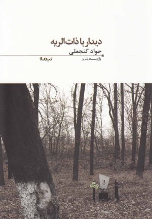 کتاب دیدار با ذات الریه | انتشارات نیماژ