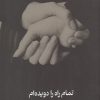 کتاب تمام راه را دویده ام | انتشارات ایجاز