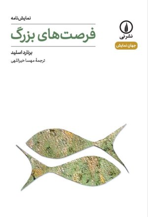کتاب فرصت‌های بزرگ | انتشارات نشر نی