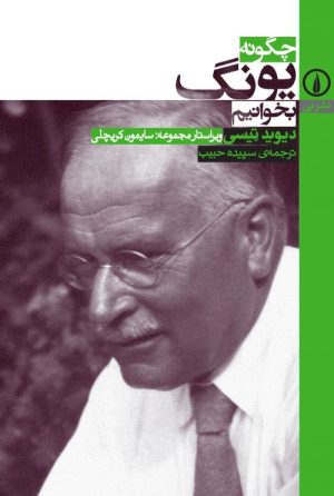 کتاب چگونه یونگ بخوانیم | انتشارات نشر نی