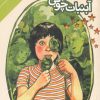 کتاب آبنبات چوبی | انتشارات دنیای اقتصاد