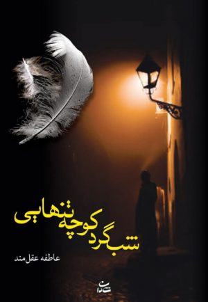 کتاب شب گرد کوچه تنهایی | انتشارات شادان