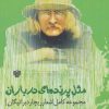 کتاب مثل پرنده ای در باران | انتشارات سرزمین اهورایی