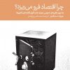 کتاب چرا اقتصاد فرو می ریزد | انتشارات دنیای اقتصاد