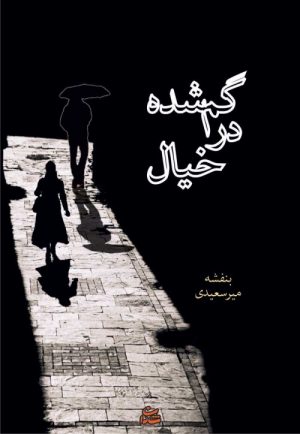 کتاب گم شده در خیال | انتشارات شادان