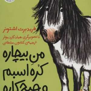 کتاب من بیچاره کره اسبم و هیچ کاره | انتشارات افق