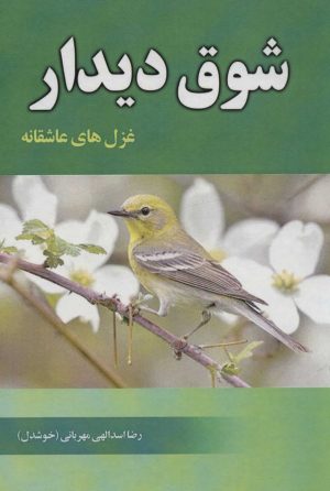 کتاب شوق دیدار | انتشارات آوای مهدیس