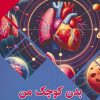 کتاب بدن کوچک من چگونه کار می کند؟ | انتشارات پیام عدالت