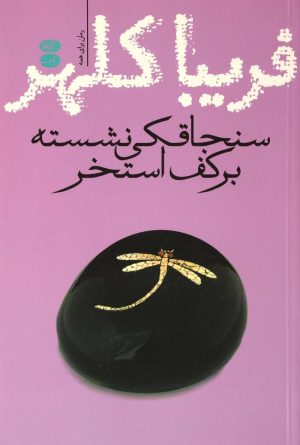 کتاب سنجاقکی نشسته بر کف استخر | انتشارات آموت