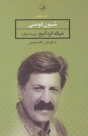 کتاب خیاله گرده گیج | انتشارات نشر ثالث