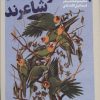 کتاب بعضی از پرنده ها شاعرند | انتشارات نشر گویا