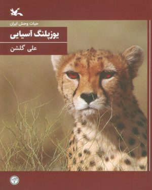 کتاب یوزپلنگ آسیایی (وزیری) | انتشارات کانون پرورش فکری کودکان و نوجوانان