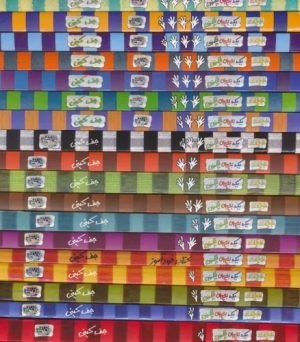 کتاب مجموعه خاطرات یک بچه ی چلمن (19 جلدی) | انتشارات حوض نقره