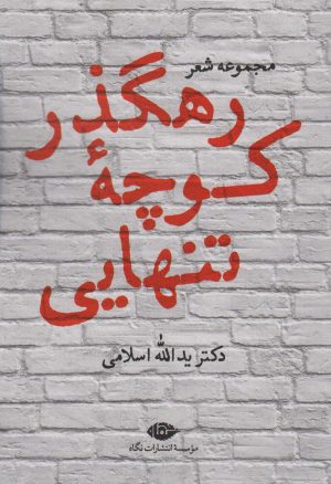 کتاب رهگذر کوچه تنهایی | انتشارات نگاه