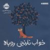 کتاب خواب نارنجی روباه | انتشارات پرتقال