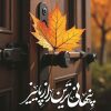 کتاب پنهانی ترین راز پاییز | انتشارات شقایق