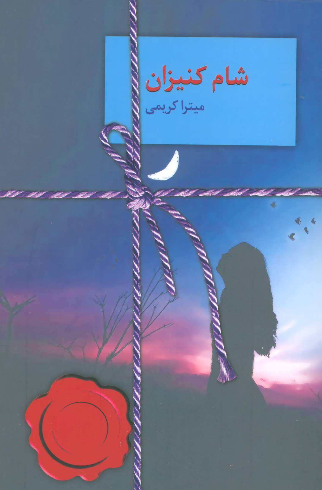 کتاب شام کنیزان | انتشارات سخن