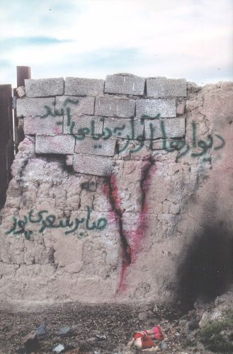 کتاب دیوارها آوار به دنیا می آیند | انتشارات فصل پنجم