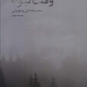 کتاب وقت کبود | انتشارات نیستان