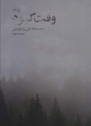 کتاب وقت کبود | انتشارات نیستان