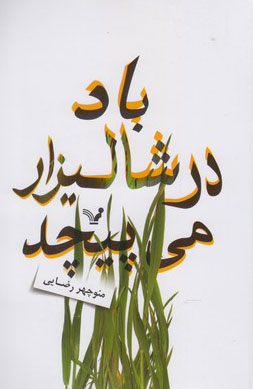 کتاب باد در شالیزار می پیچد | انتشارات کتابسرای تندیس