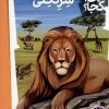 کتاب سرنگتی | انتشارات فنی ایران نردبان
