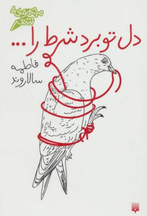 کتاب دل تو برد شرط را… | انتشارات پیدایش