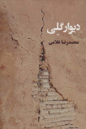 کتاب دیوار گلی | انتشارات زرین اندیشمند