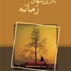 کتاب بازی پنهان زمانه | انتشارات شادان