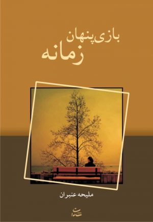 کتاب بازی پنهان زمانه | انتشارات شادان