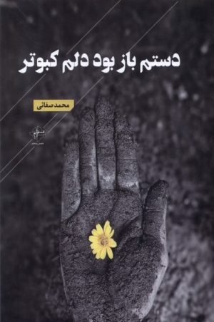 کتاب دستم باز بود دلم کبوتر | انتشارات فصل پنجم