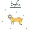 کتاب بز زنگوله پا | انتشارات پیدایش